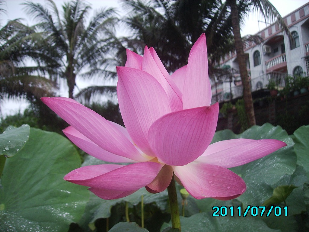 http://i.dcview.tw/gallery/201107/c68e8ff387490fa51beaec8f7e45ce3e.jpg