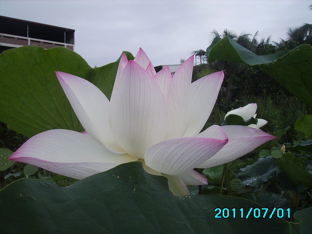 http://i.dcview.tw/gallery/201107/c76c975878df8c4517c1e79dc02a55ff.jpg