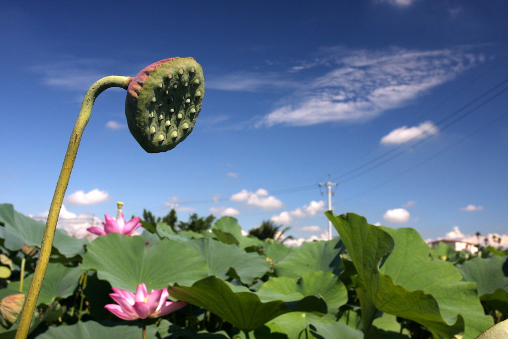 http://i.dcview.tw/gallery/201107/cb4fad73ac348c6c96d894d361414260.jpg