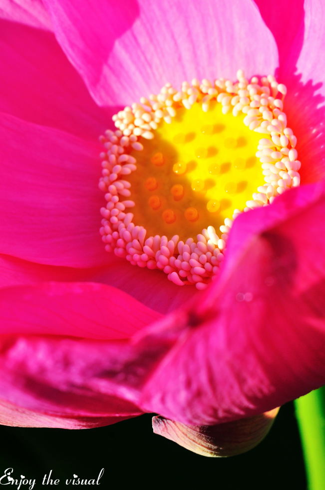 http://i.dcview.tw/gallery/201107/d10e4c05c8dc01c39def121bae055f8c.jpg