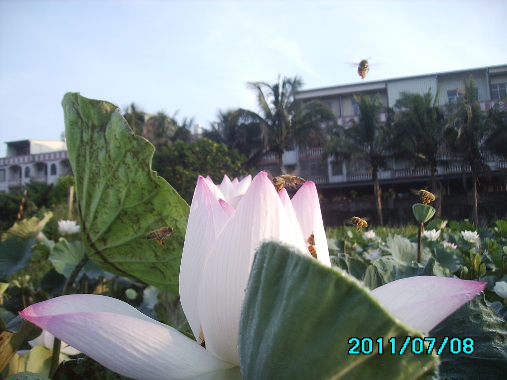 http://i.dcview.tw/gallery/201107/d44e6f2db9d3f694abc2871aee473980.jpg