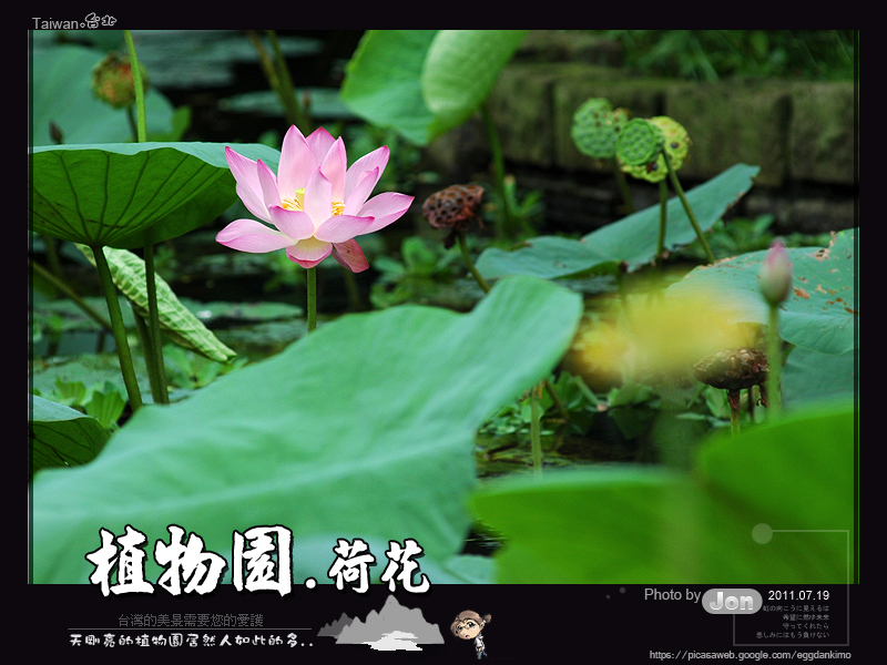 http://i.dcview.tw/gallery/201107/d4b1b9a0ddd5cce0cdd409865a09a16f.jpg