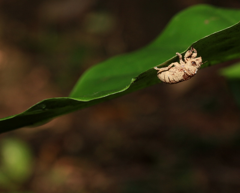 http://i.dcview.tw/gallery/201107/d83c56ea7049af614bce950914f96ded.jpg