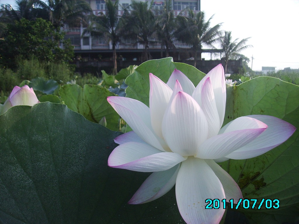http://i.dcview.tw/gallery/201107/dd7fefef45b8d56ffb33242d995f4668.jpg