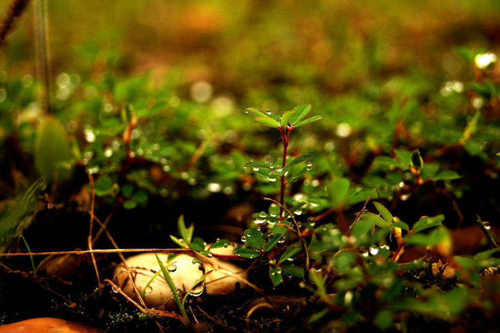 http://i.dcview.tw/gallery/201107/e2b133d1d3edb6ecc1b3e7bb0179a8a1.jpg