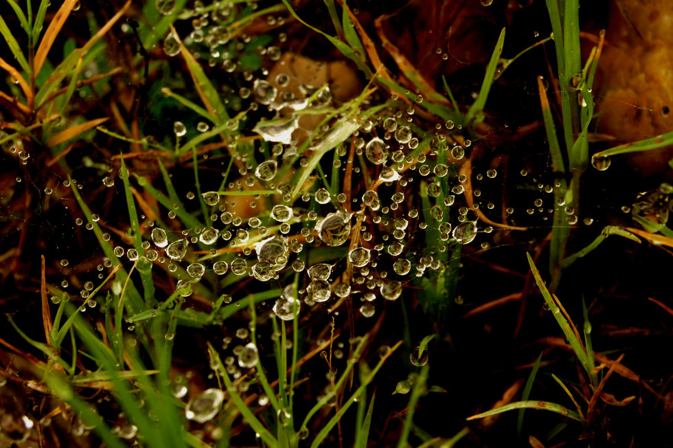 http://i.dcview.tw/gallery/201107/e6cc4ed5ba1a4a9cce8ea885dec23436.jpg