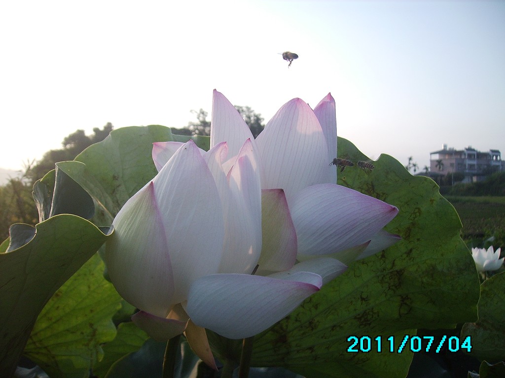 http://i.dcview.tw/gallery/201107/ebaada094674ee355a92faca5262ac04.jpg