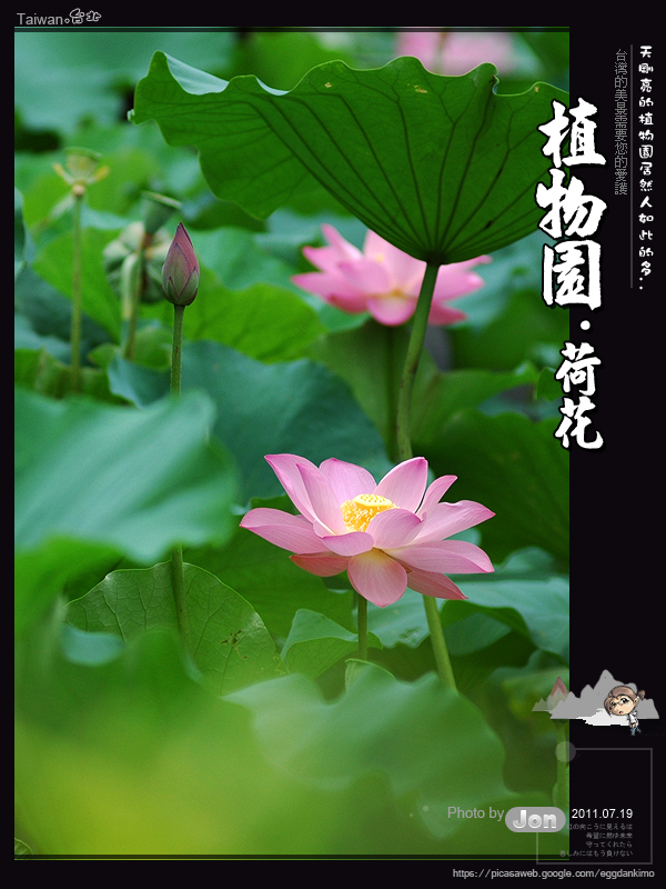 http://i.dcview.tw/gallery/201107/ed313eea41213f1aa1a461b647b5691f.jpg