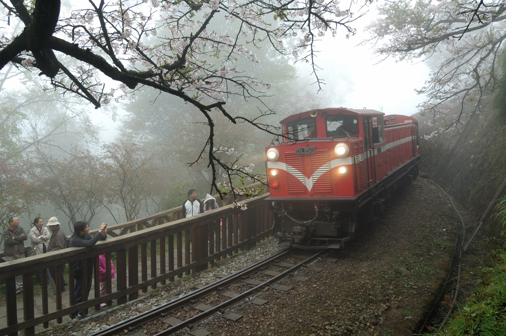 http://i.dcview.tw/gallery/201107/ed56b145c0f2eb346336392d0516a629.jpg