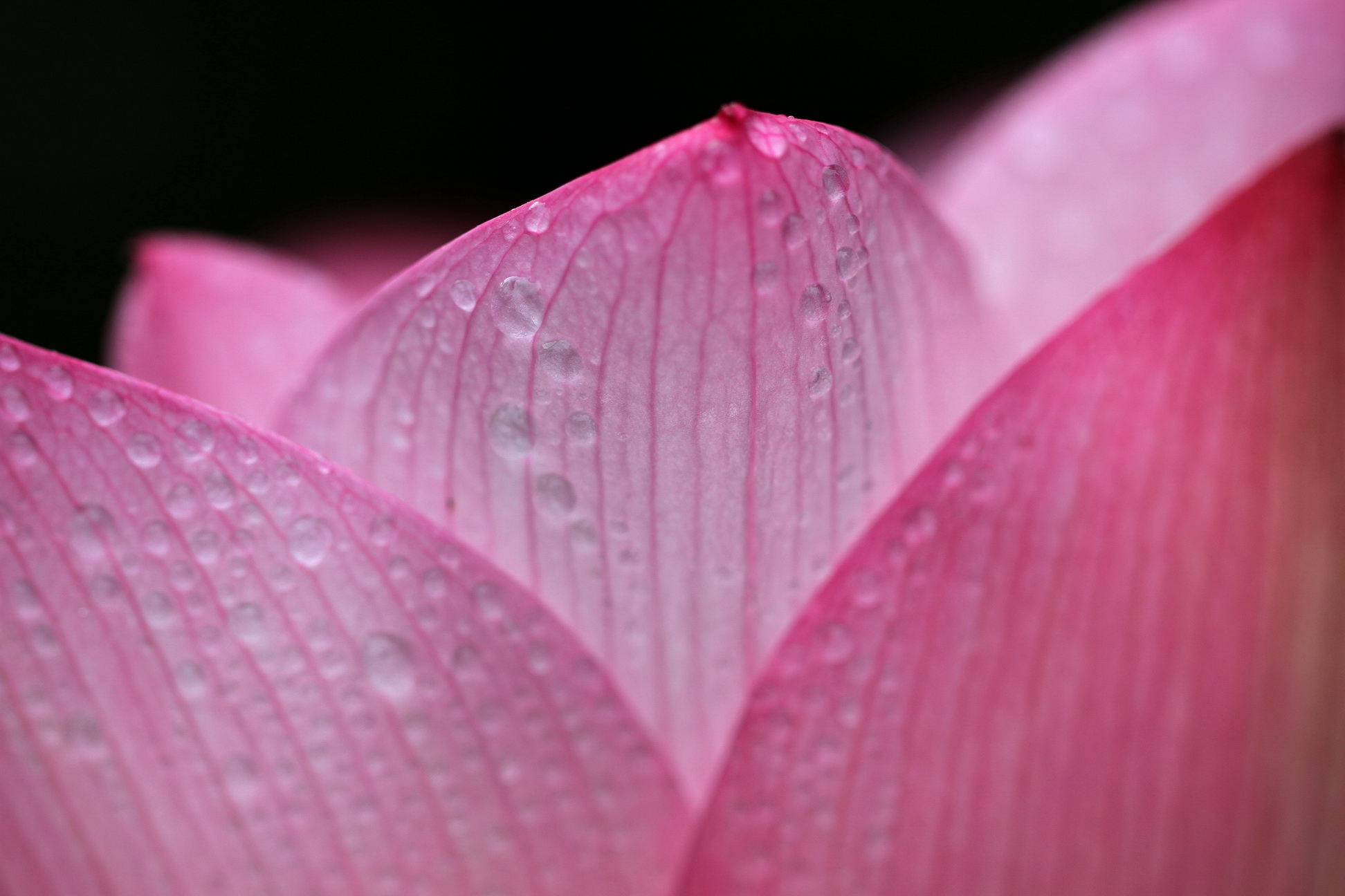 http://i.dcview.tw/gallery/201107/eeed59e5e7f0eb24ce0ed77b03ab708b.jpg