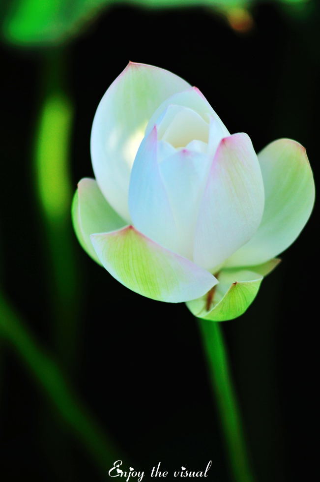 http://i.dcview.tw/gallery/201107/f118c479b5f809517f6770cf40a12b62.jpg