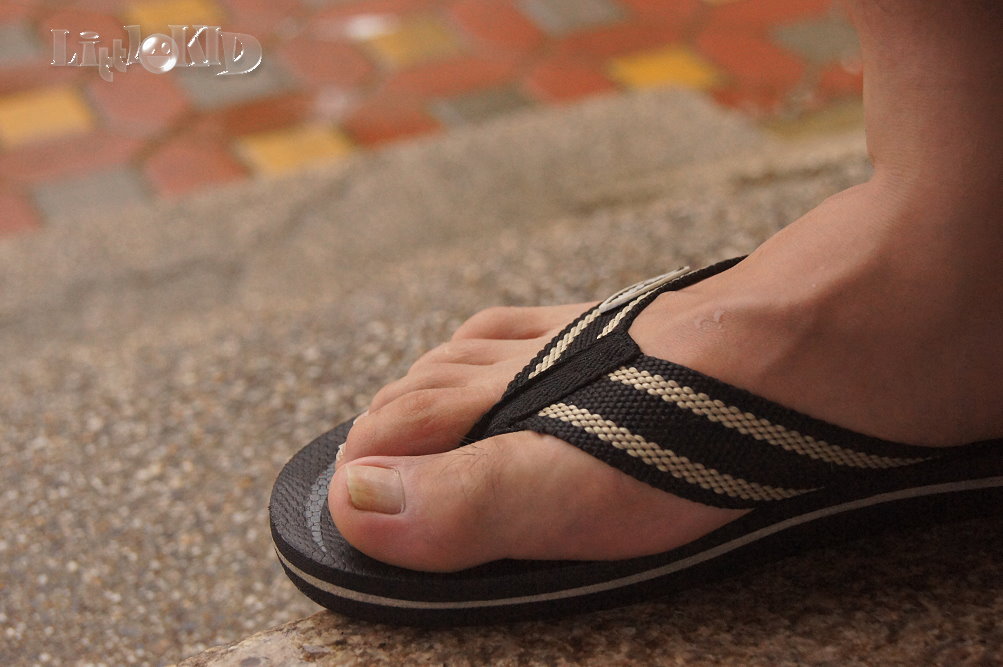 http://i.dcview.tw/gallery/201107/f7344a4d506a358e491e9d1a3b27ef19.jpg