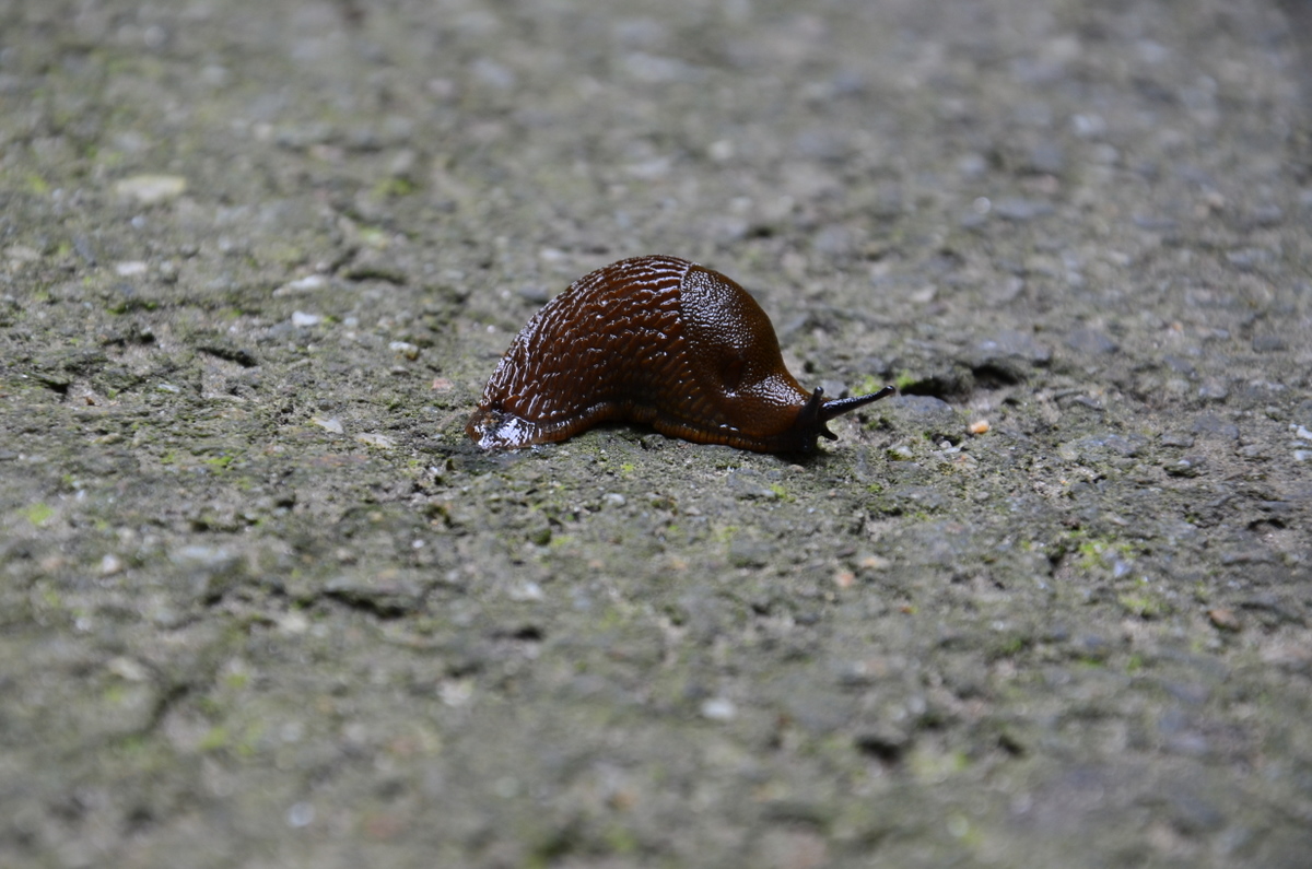 http://i.dcview.tw/gallery/201107/f7422490181107a0ed8de762ce3a98e4.jpg
