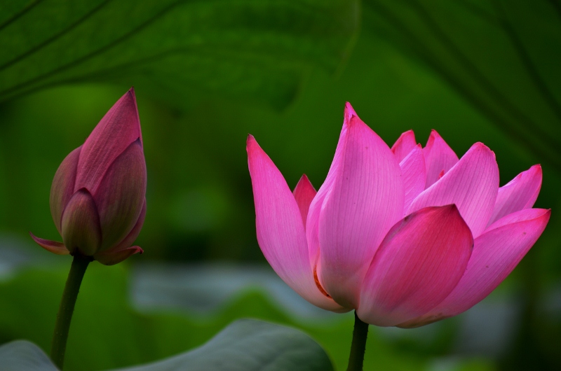 http://i.dcview.tw/gallery/201107/fe737bd1f9864183c47ec848f8b4cdd2.jpg