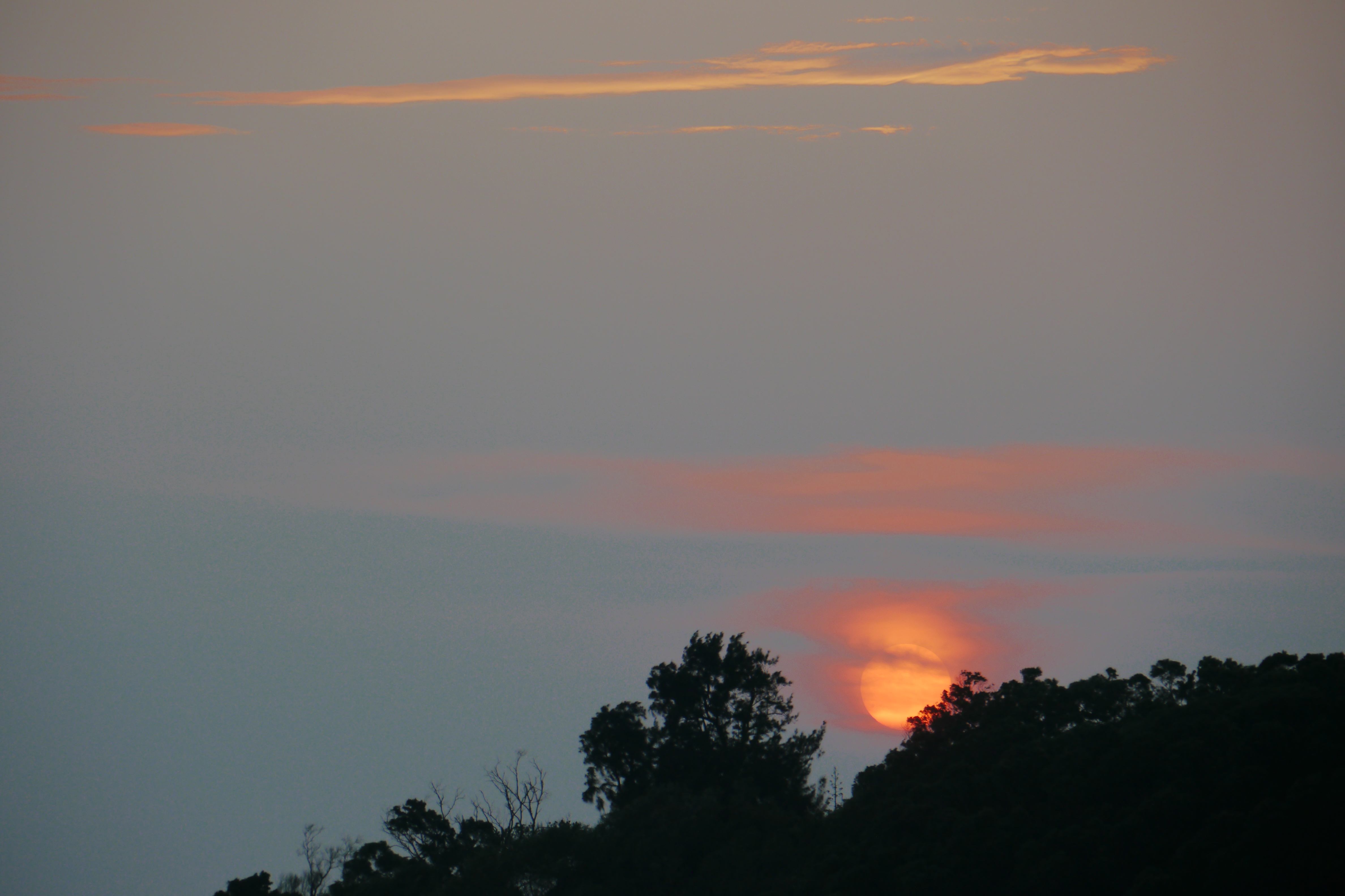 http://i.dcview.tw/gallery/201107/ff3911b37001be409a90f4171d60581d.jpg