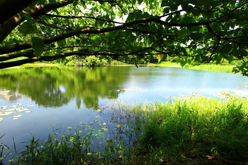 http://i.dcview.tw/gallery/201108/0d467a897f2b1e54dac42a5e07035c9a.jpg