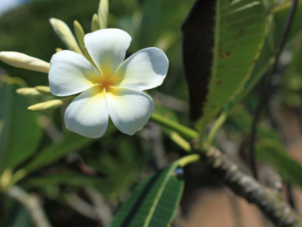 http://i.dcview.tw/gallery/201108/1066f06433931809cebea77f10c941eb.jpg