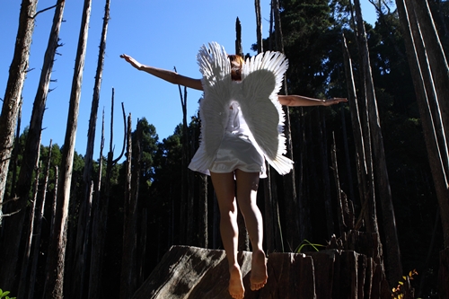 http://i.dcview.tw/gallery/201108/111d5473f7b39701a0d15850b39f05f1.jpg