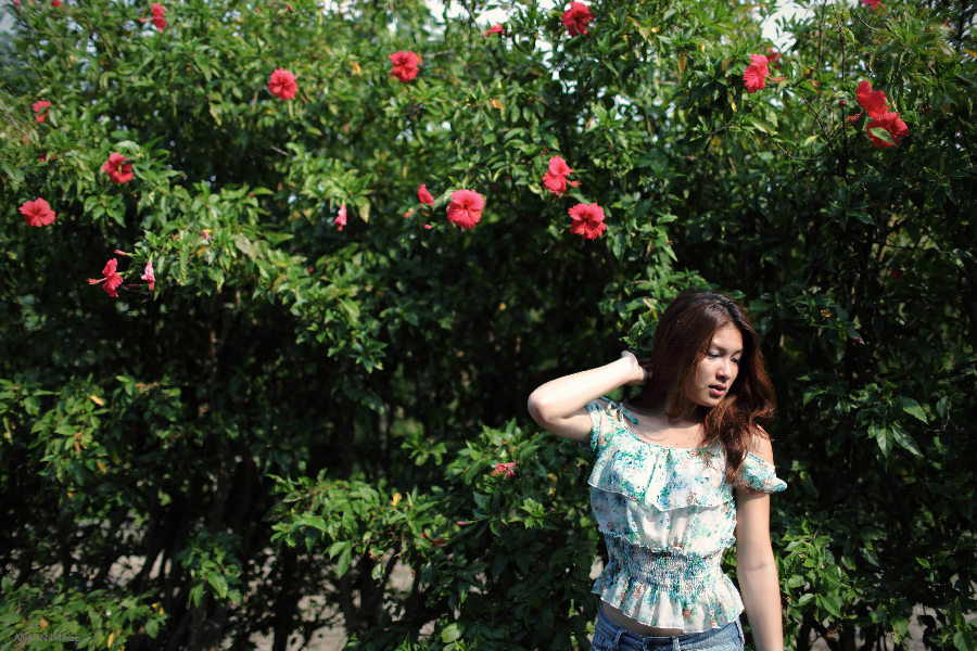 http://i.dcview.tw/gallery/201108/12d143c25f985000dbbf013601f41c8f.jpg