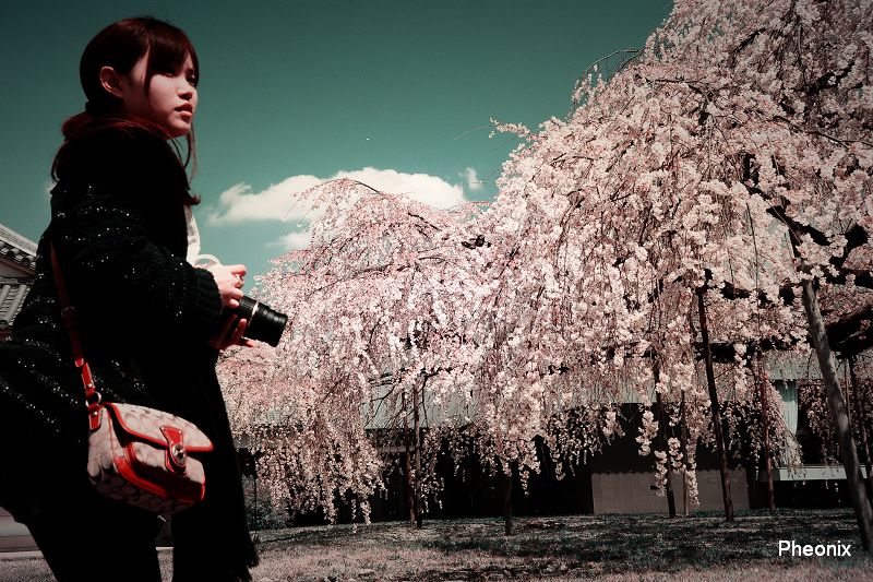 http://i.dcview.tw/gallery/201108/161307cf239f8ee8c613f27c6a6f69dd.jpg