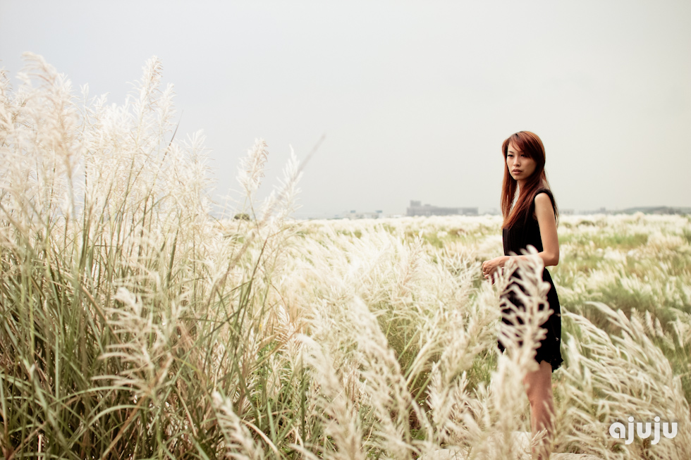 http://i.dcview.tw/gallery/201108/20c488759f4ec61fce5ad5c196516b7c.jpg