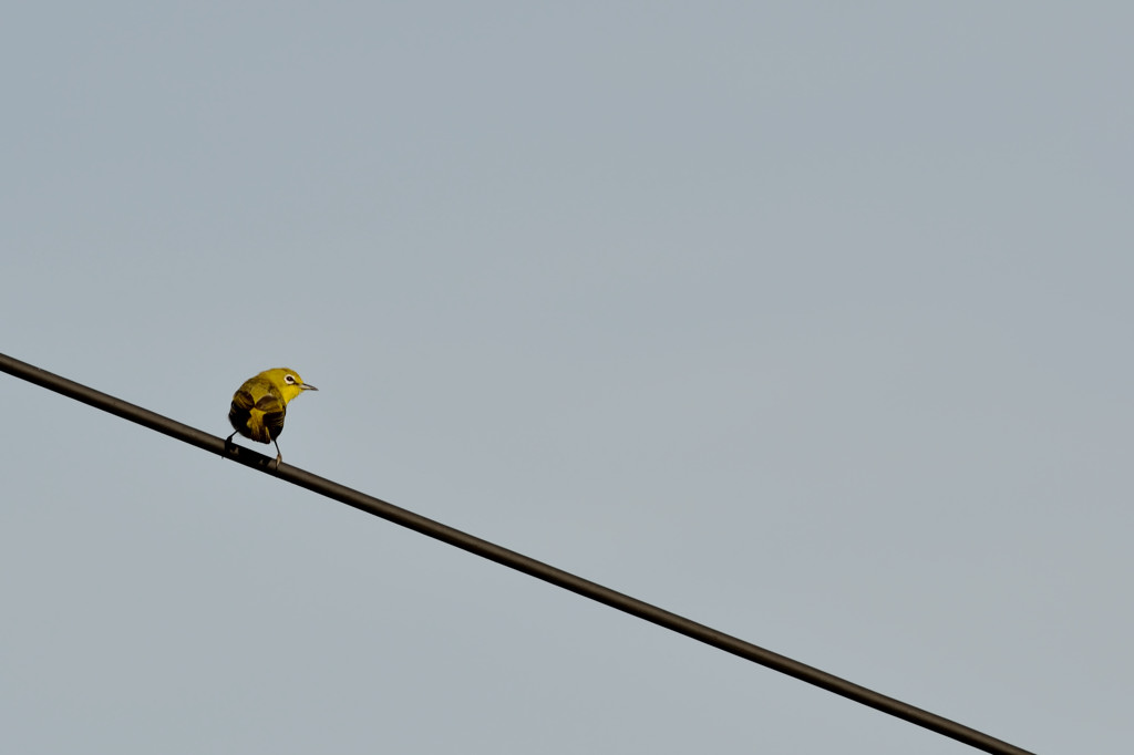 http://i.dcview.tw/gallery/201108/21a95480a743b59e305e2645642caef1.jpg