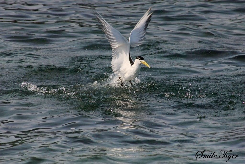 http://i.dcview.tw/gallery/201108/24967aebabd6b8939066b22606e4f55c.jpg
