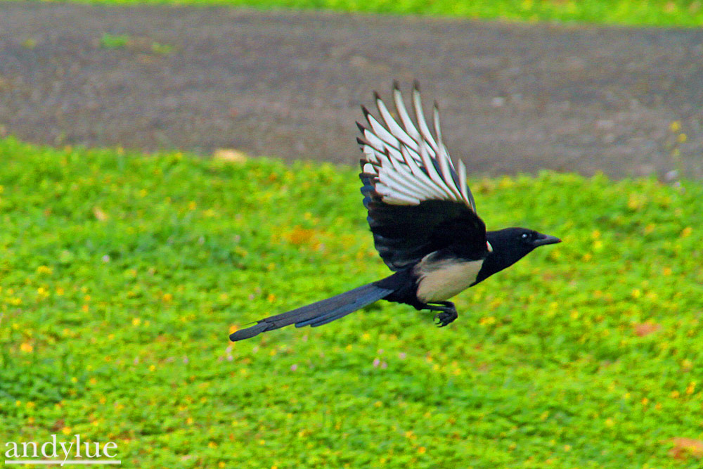 http://i.dcview.tw/gallery/201108/249b6a7cce2ac193f286c8b5972ff9d9.jpg