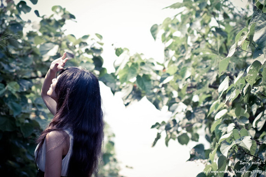 http://i.dcview.tw/gallery/201108/24f31077433fe581ed27d46fac32b971.jpg