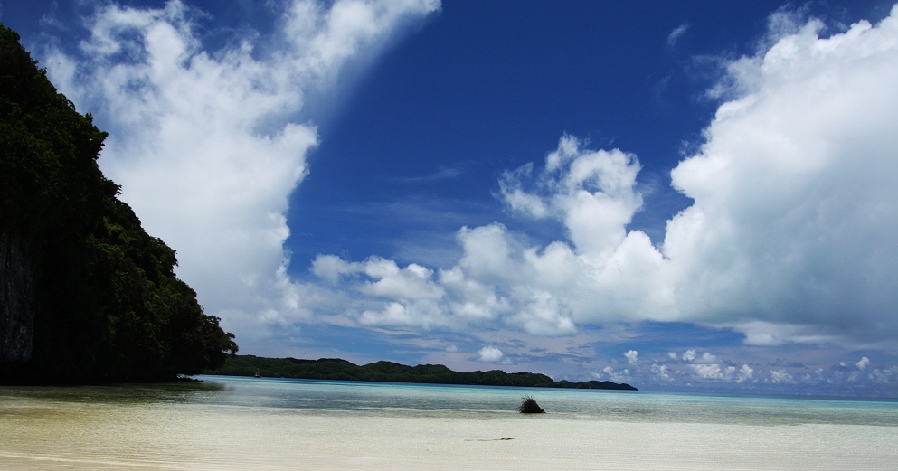 http://i.dcview.tw/gallery/201108/26ffd9d5866c5fc18df911bed51d946d.jpg