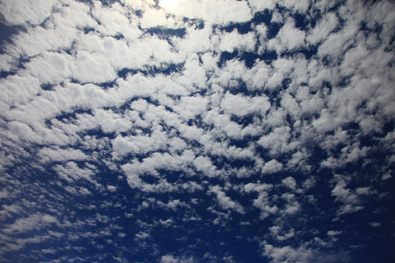 http://i.dcview.tw/gallery/201108/2a09854c489064b998c01321e6ed3750.jpg