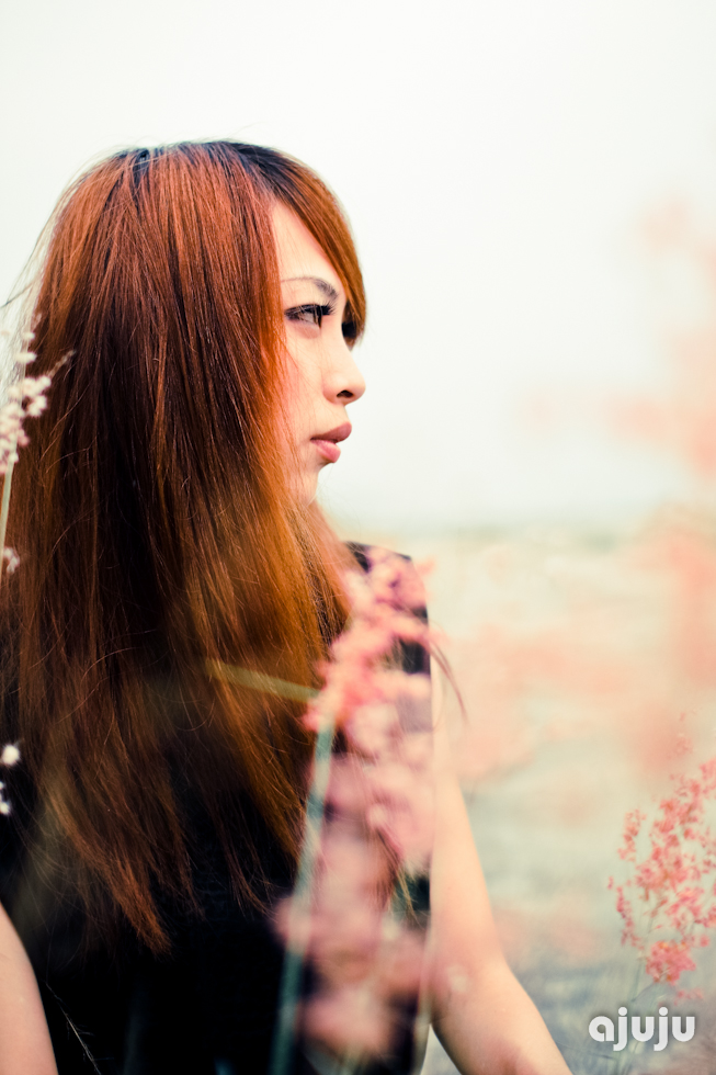 http://i.dcview.tw/gallery/201108/2aacf9749e2273781107adf172304a67.jpg
