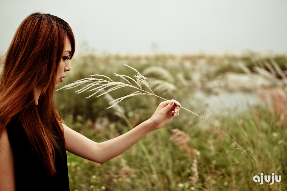 http://i.dcview.tw/gallery/201108/2be930cb71ec7650f3e8852ede821f61.jpg