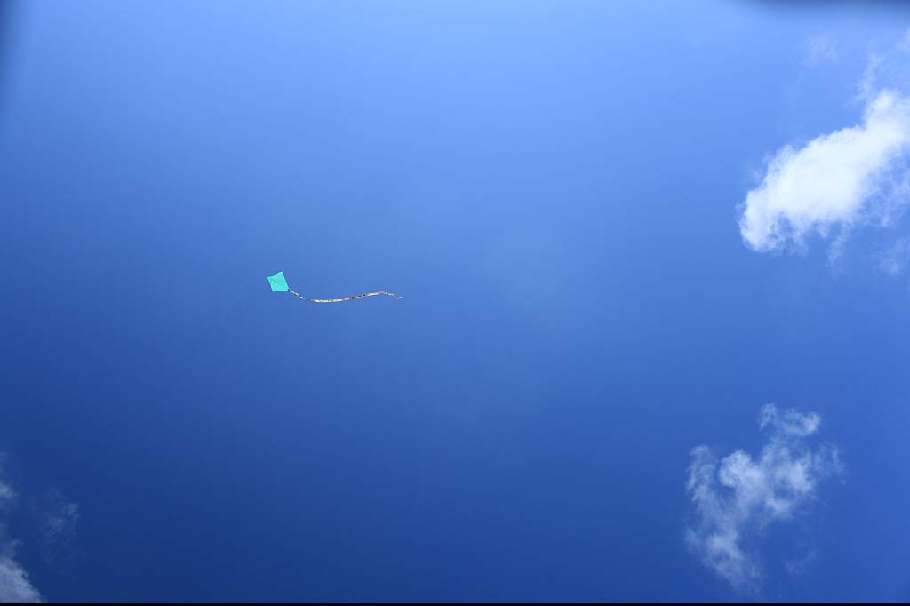 http://i.dcview.tw/gallery/201108/35d9c9c987b815b29a0c5fd48a3fa0ab.jpg