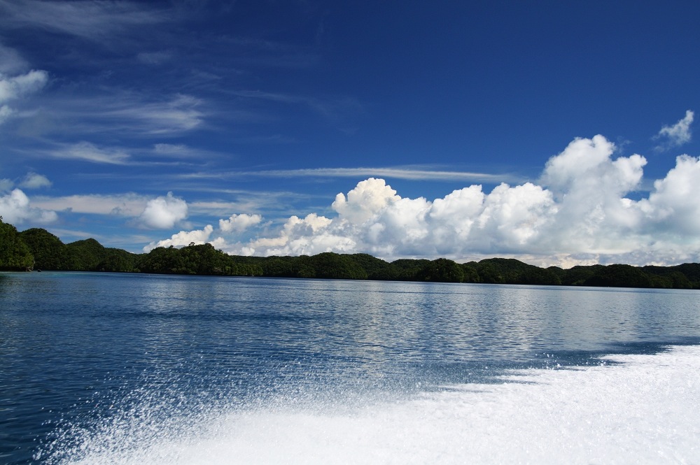 http://i.dcview.tw/gallery/201108/38149fc38f54fc6366cd8949683e470e.jpg