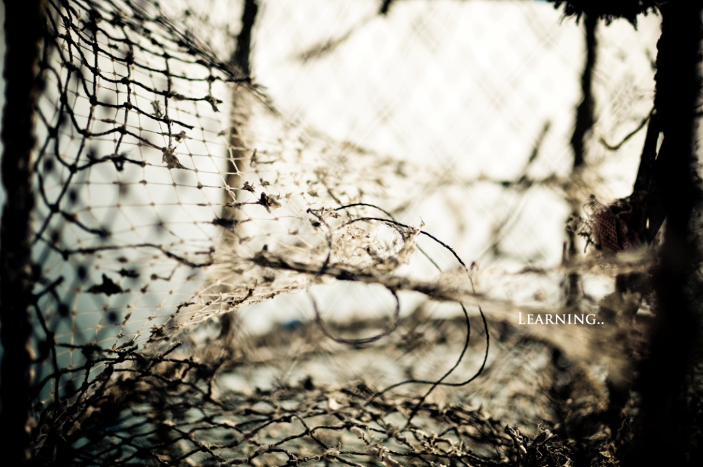 http://i.dcview.tw/gallery/201108/39f3963a939a100a30c296798d32d3ab.jpg