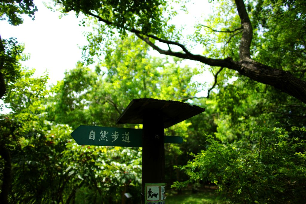 http://i.dcview.tw/gallery/201108/442272fa6b6d03fc7526519c760378c5.jpg