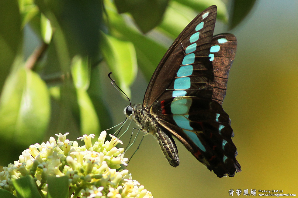 http://i.dcview.tw/gallery/201108/4964340d8b94efa70dd5089caf07f8d5.jpg