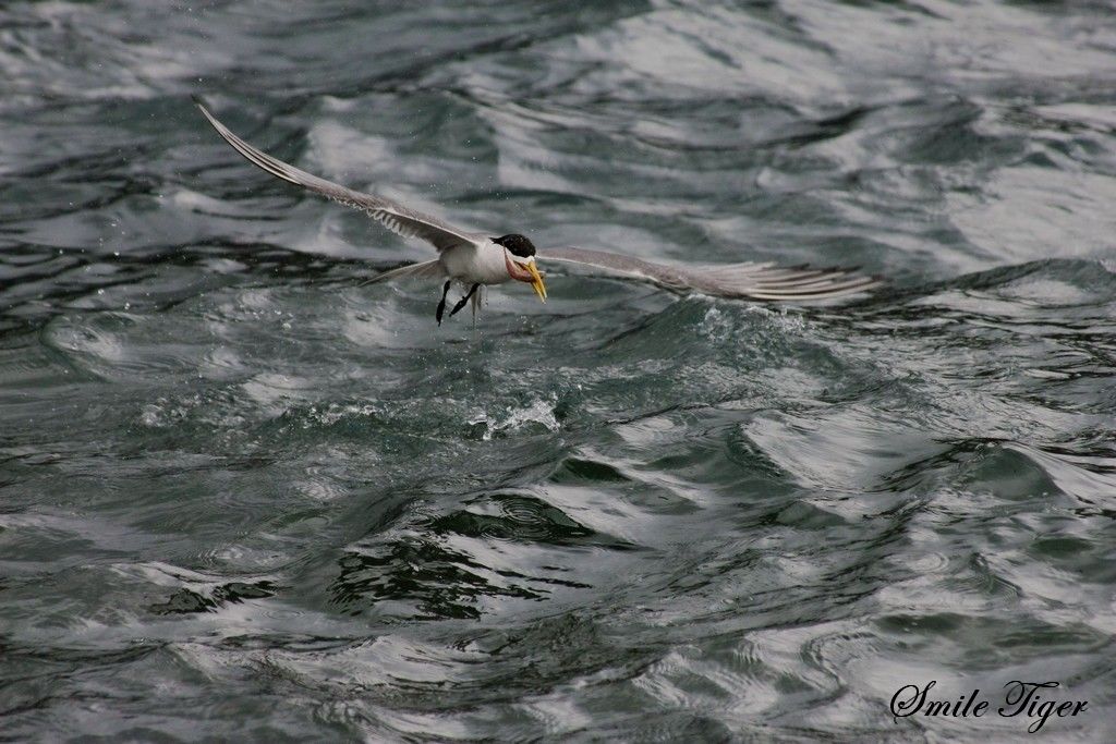 http://i.dcview.tw/gallery/201108/53f1f4db736f0bd1482b61009705c82a.jpg