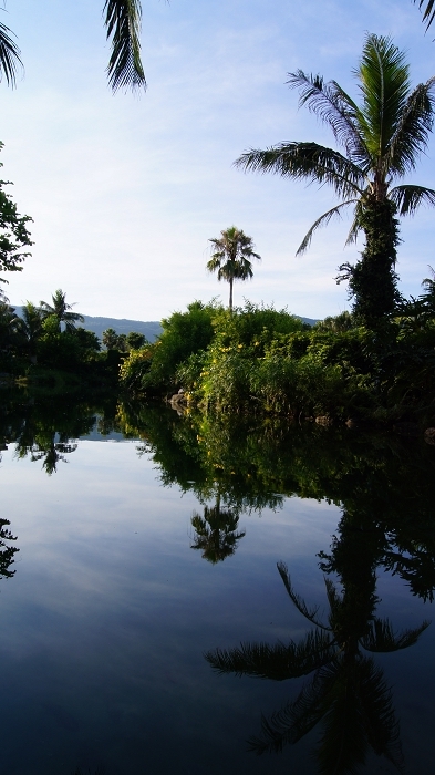 http://i.dcview.tw/gallery/201108/6f1062abd9a262d815bdc8cd673b9e4a.jpg