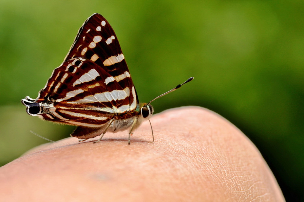 http://i.dcview.tw/gallery/201108/7a310736329d333af4565967bd5e7599.jpg