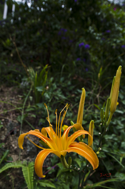 http://i.dcview.tw/gallery/201108/7c81495bc515b0f3125a11d38db86a05.jpg