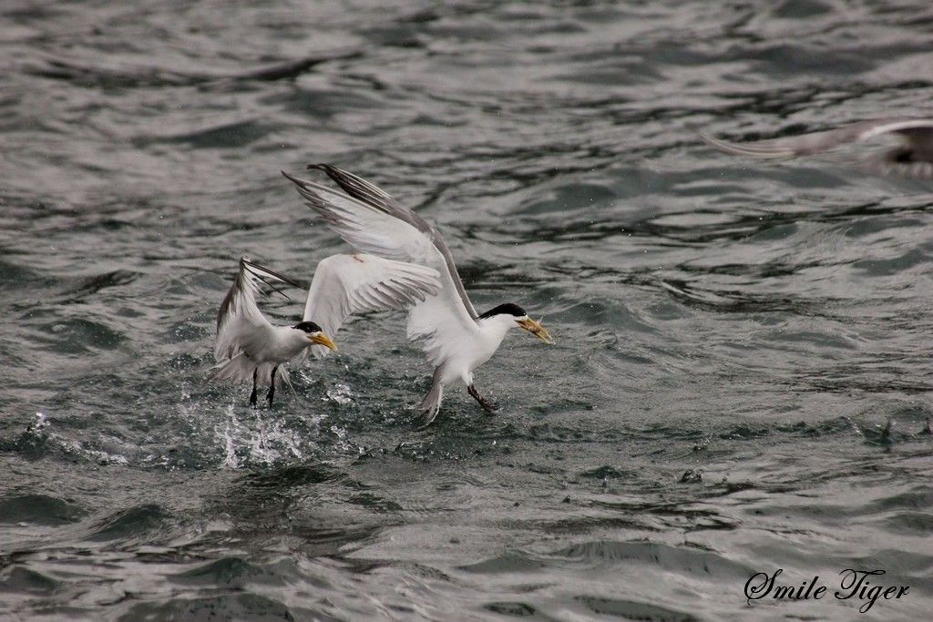 http://i.dcview.tw/gallery/201108/840d03575a8693d62ca5d9f10e039d40.jpg