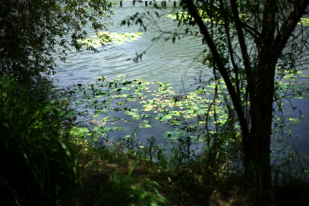 http://i.dcview.tw/gallery/201108/8d5a849f950d2a3d07fd8c6217a6f811.jpg