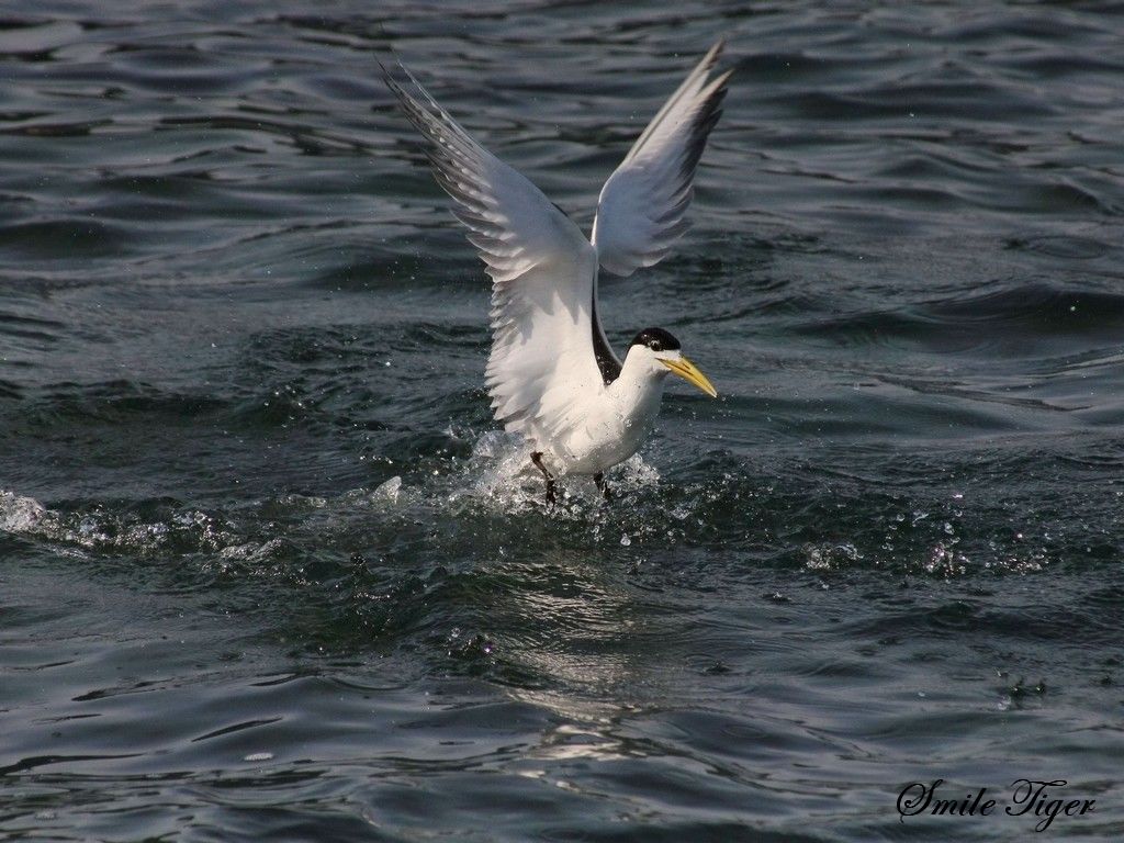 http://i.dcview.tw/gallery/201108/9076c0ab8f9a0bccb00b35cd6e9b93d3.jpg