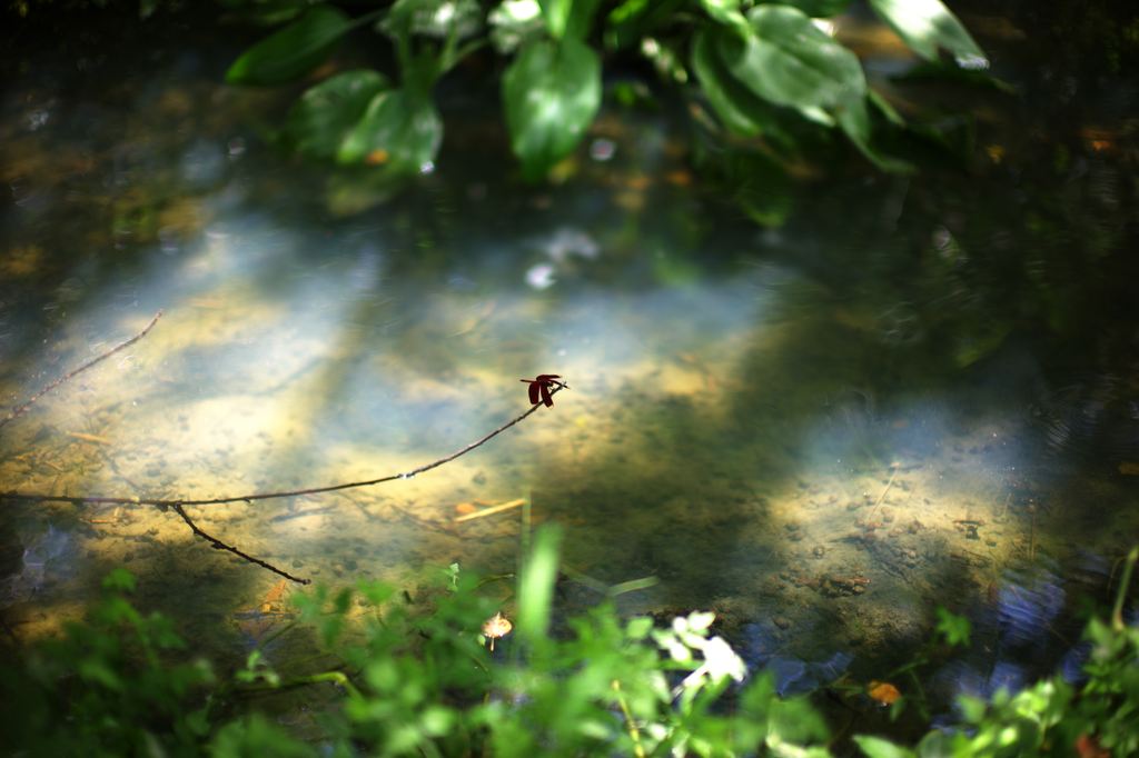 http://i.dcview.tw/gallery/201108/92c02db3aebfb72a98616a45c41ca719.jpg
