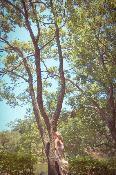 http://i.dcview.tw/gallery/201108/94e290c6940d5e63887a35eaff69dfd9.jpg