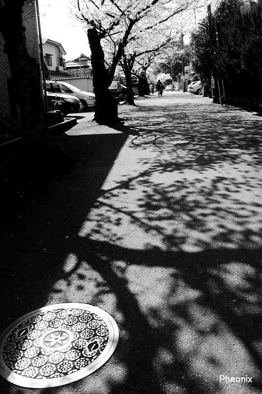 http://i.dcview.tw/gallery/201108/9891bbd17372da31b7b2a020d5b42301.jpg