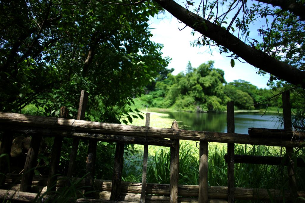 http://i.dcview.tw/gallery/201108/994acd58f177beb2641e587d6be6731d.jpg