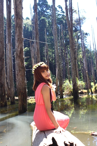 http://i.dcview.tw/gallery/201108/9ac9b9e4fdab8d60621c759157bf650c.jpg